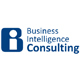 BI Consulting